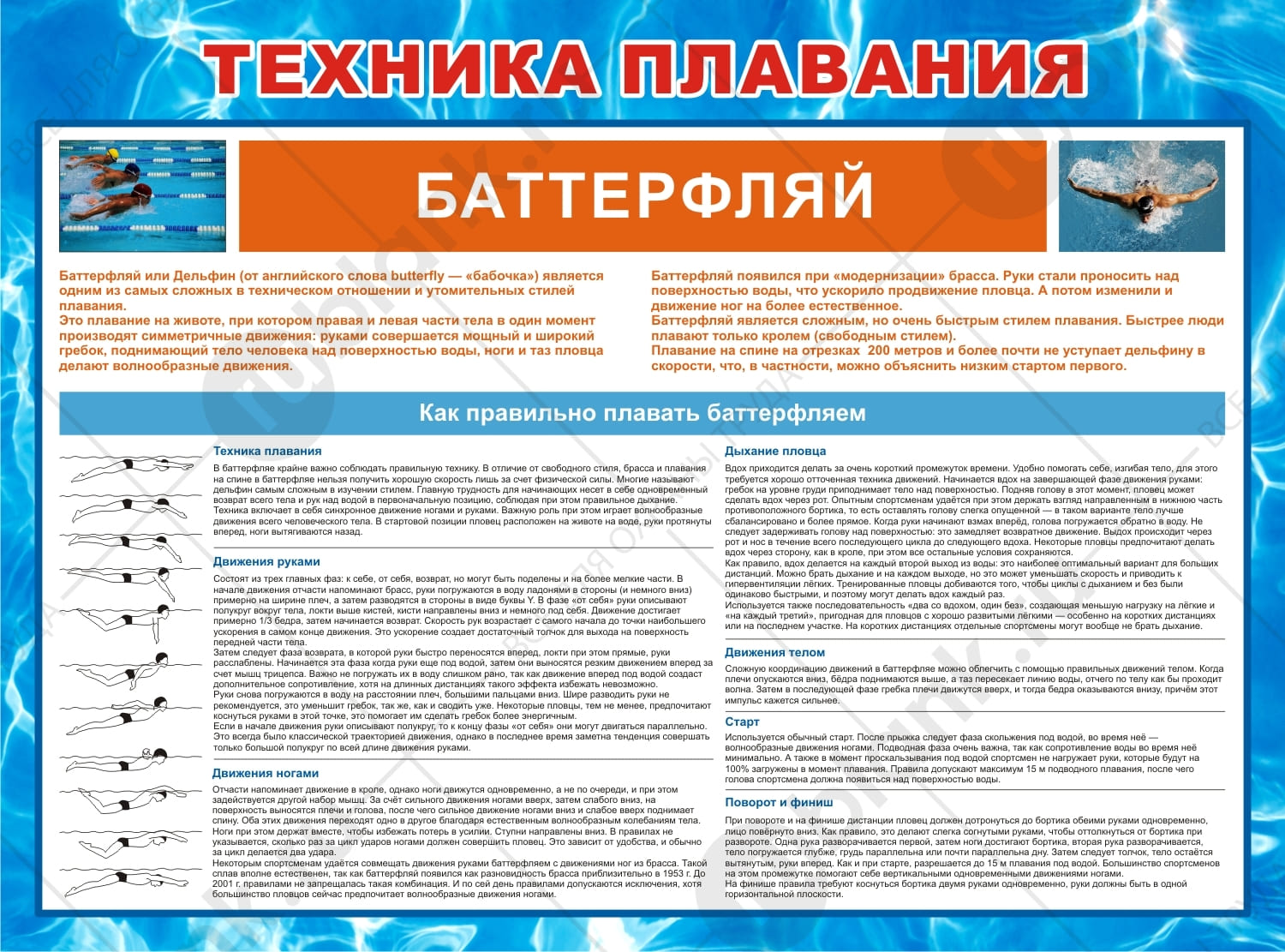Плакат "Техника плавания баттерфляем" 98х84 см