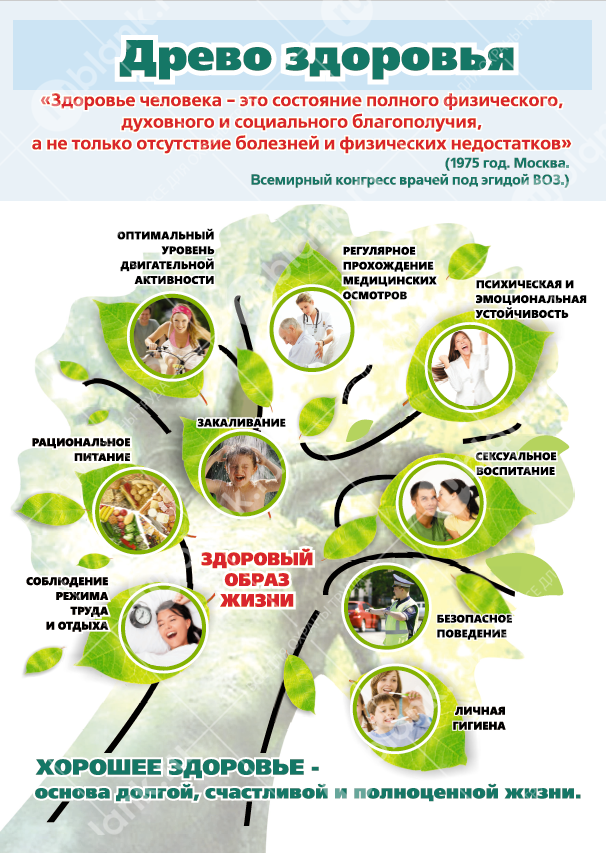 Плакат "Древо здоровья" 60х85 см
