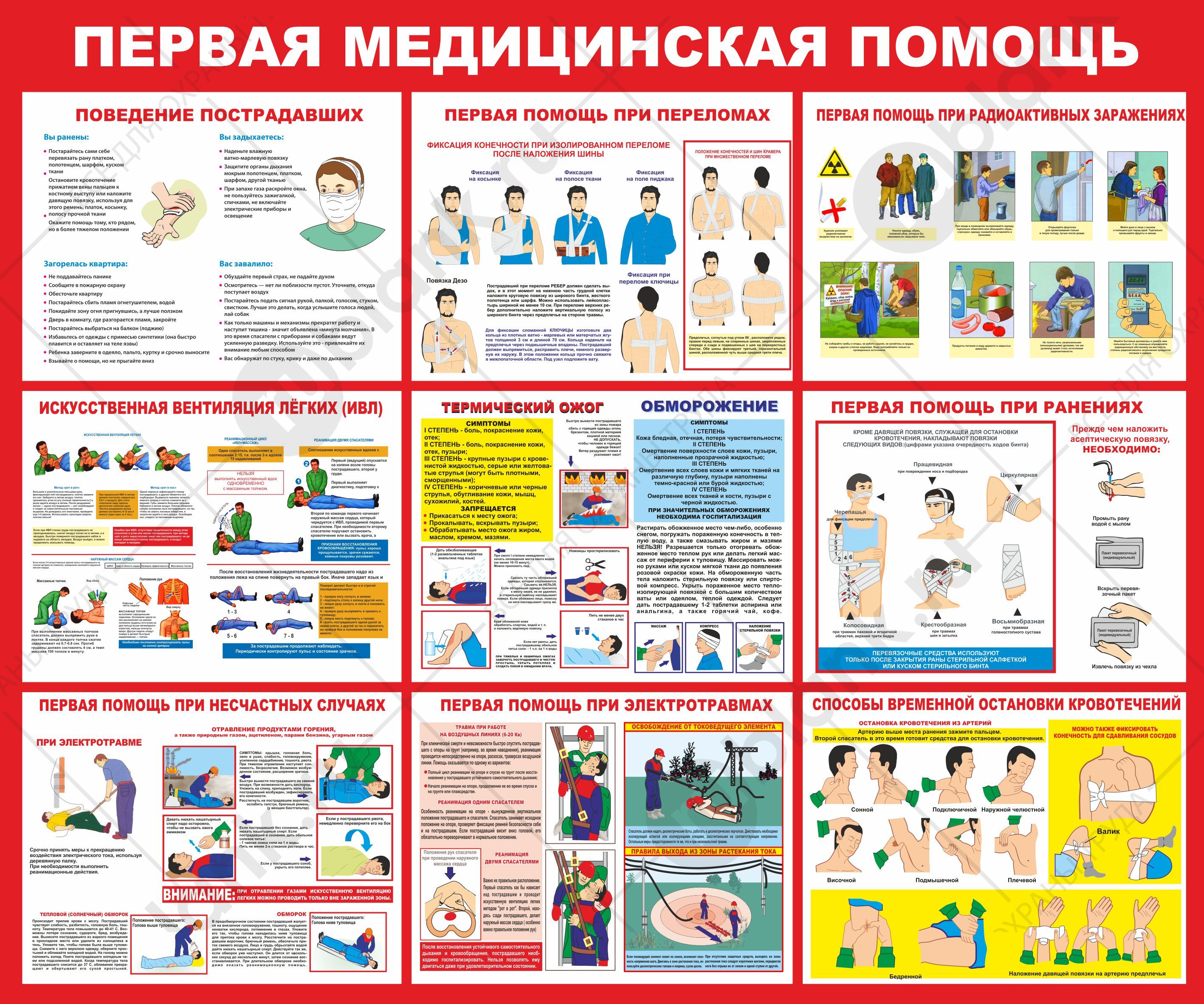 Плакат "Первая медицинская помощь" 98х84 см